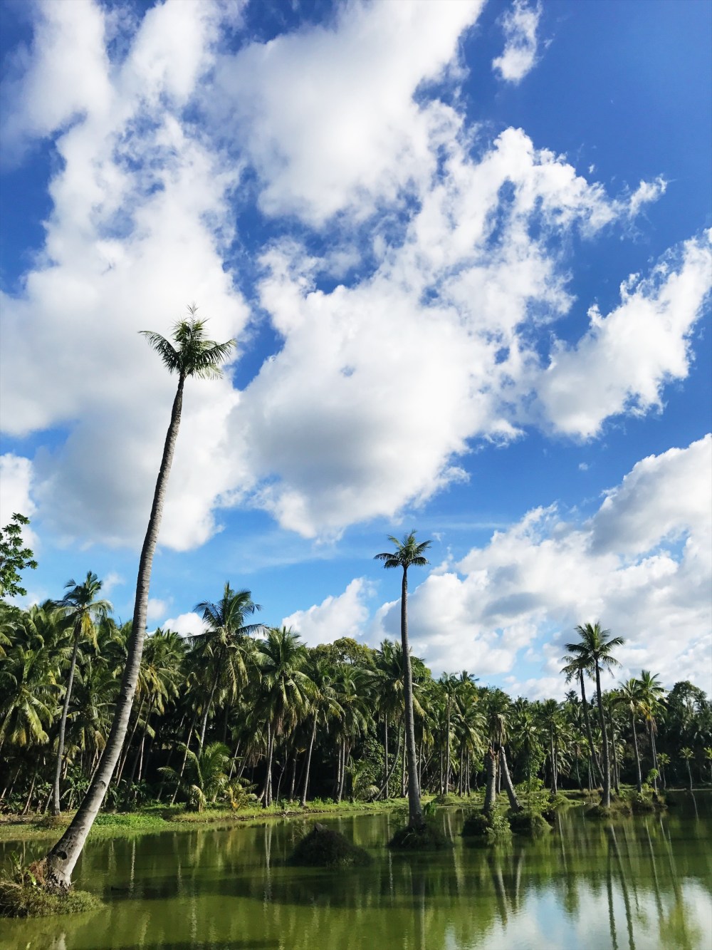 Processed with VSCO with s3 preset